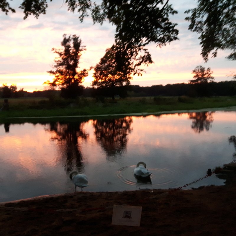 20200828_201024.jpg