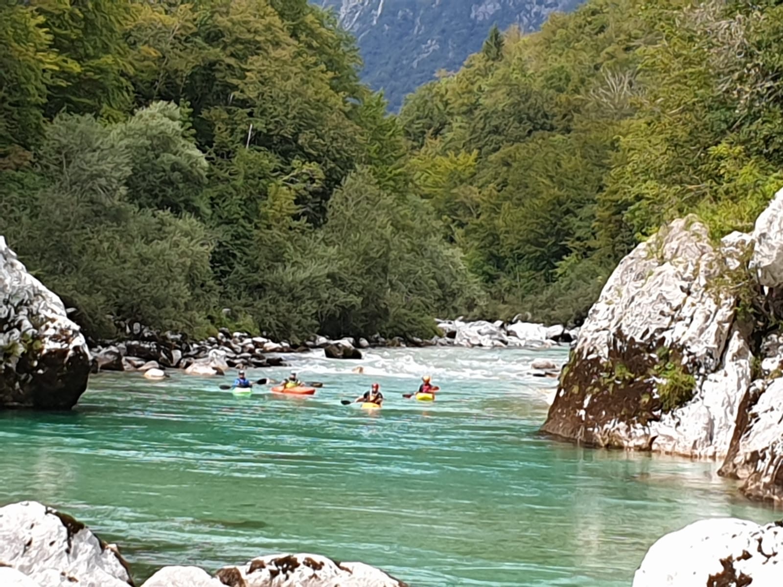 8ed6c8c6-bf67-4bf6-b9e7-0c9ff1033254_002.jpg
